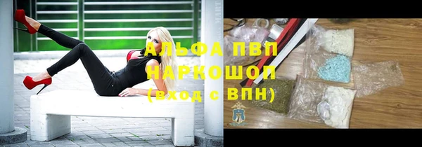 ПСИЛОЦИБИНОВЫЕ ГРИБЫ Белокуриха