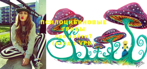 a pvp Белоозёрский