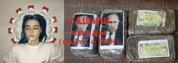 ПСИЛОЦИБИНОВЫЕ ГРИБЫ Белокуриха
