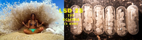 ПСИЛОЦИБИНОВЫЕ ГРИБЫ Белокуриха