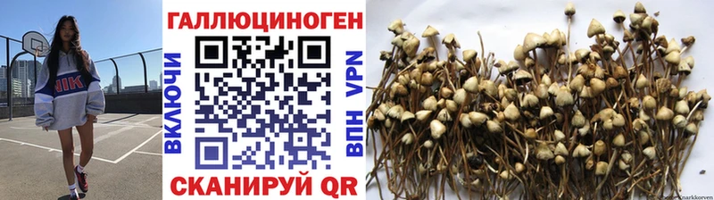 Купить закладки  Закаменск  Псилоцибиновые грибы прущие грибы 
